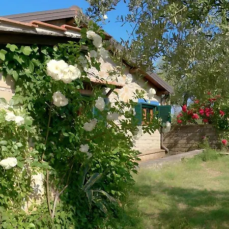 La Casa Del Pettirosso *