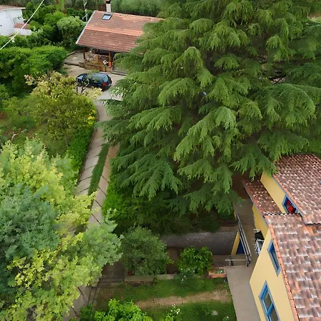 La Casa Del Pettirosso *